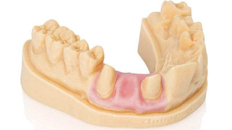 Dima Print Gingiva Mask 1000g