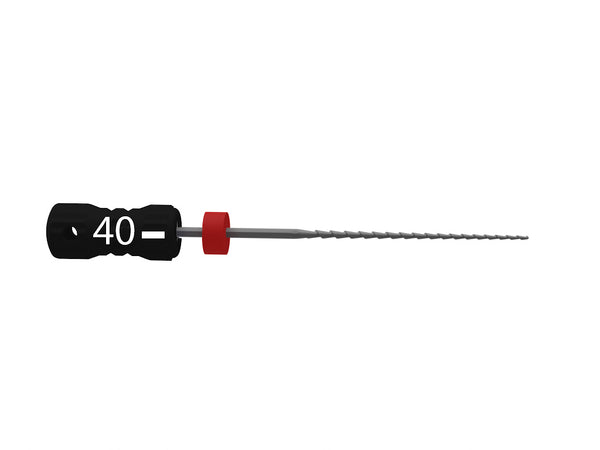 B6 K-Files N040 L31 STERILE
