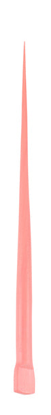 HYGENIC Guttapercha Points Pink Classic M, 100 pcs