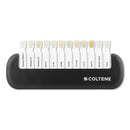 BRILLIANT EverGlow Accessories Shade Guide 1 pc 60021919