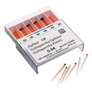 HyFlex CM Guttapercha Points .04