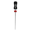 B6 K-Files N040 L31 STERILE