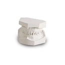 Modern Materials Lab Plaster White Regular Set (25 lb.), 50048472
