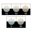 Estelite Bulk Fill Flow PLT