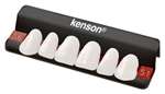 KENSON TEETH Anterior 1 X 6 - Card