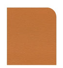 Ortho Chair Fixed Base With Adjustable Back