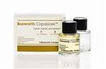 COPALINER Varnish Only 1/2oz. MFG #921526