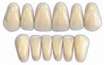 PRIME TEETH Posterior 1 X 8 - Card
