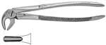 ENGLISH PATTERN EXTRACTING FORCEPS #13 Lower Bicuspid (Each)MFG #05-130