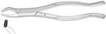 UPPER MOLAR EXTRACTING FORCEPS #53R 1st&2nd Right (Each)MFG #05-535