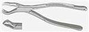 UPPER MOLAR EXTRACTING FORCEPS #88R 1st&2nd Right (Each) MFG #DEF88R