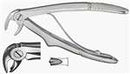 PEDODONTICS EXTRACTING FORCEPS #C English Pattern (Each) MFG #DEFC