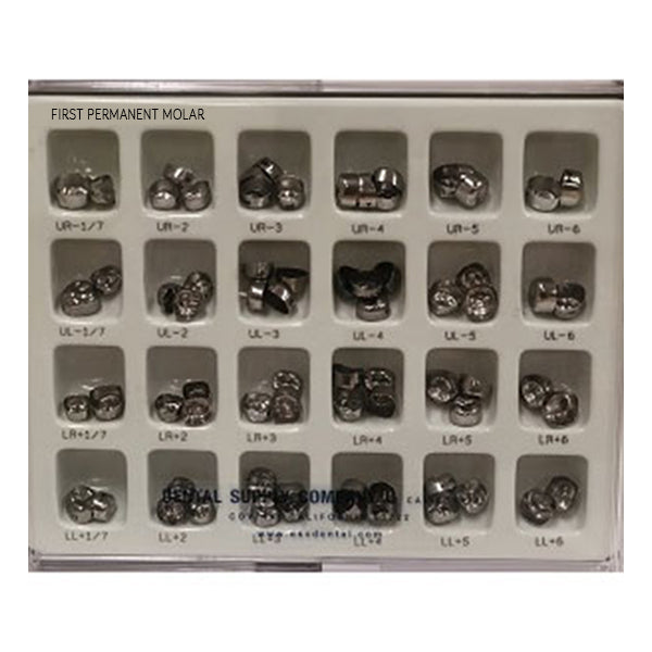 1st. Permanent Stainless Steel Crowns Kit - 72pk - Davis Dental Supply
